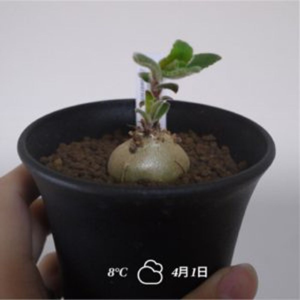 Photo by りとまんさん