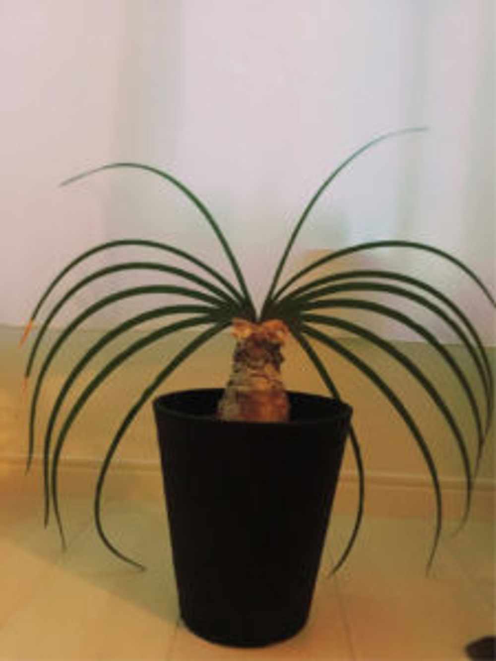 Photo by Hiiboo®︎さん