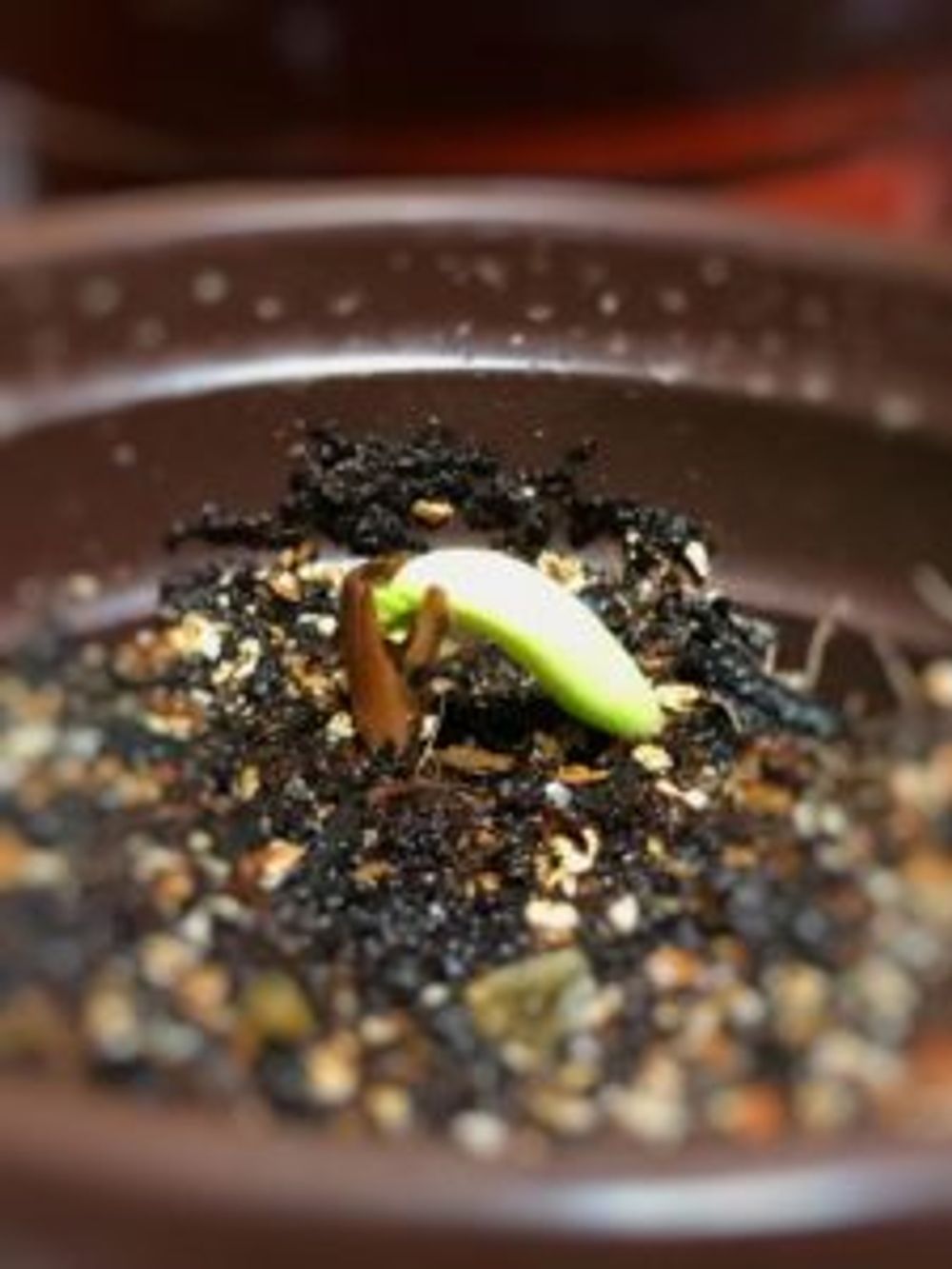 Photo by ito-muneさん