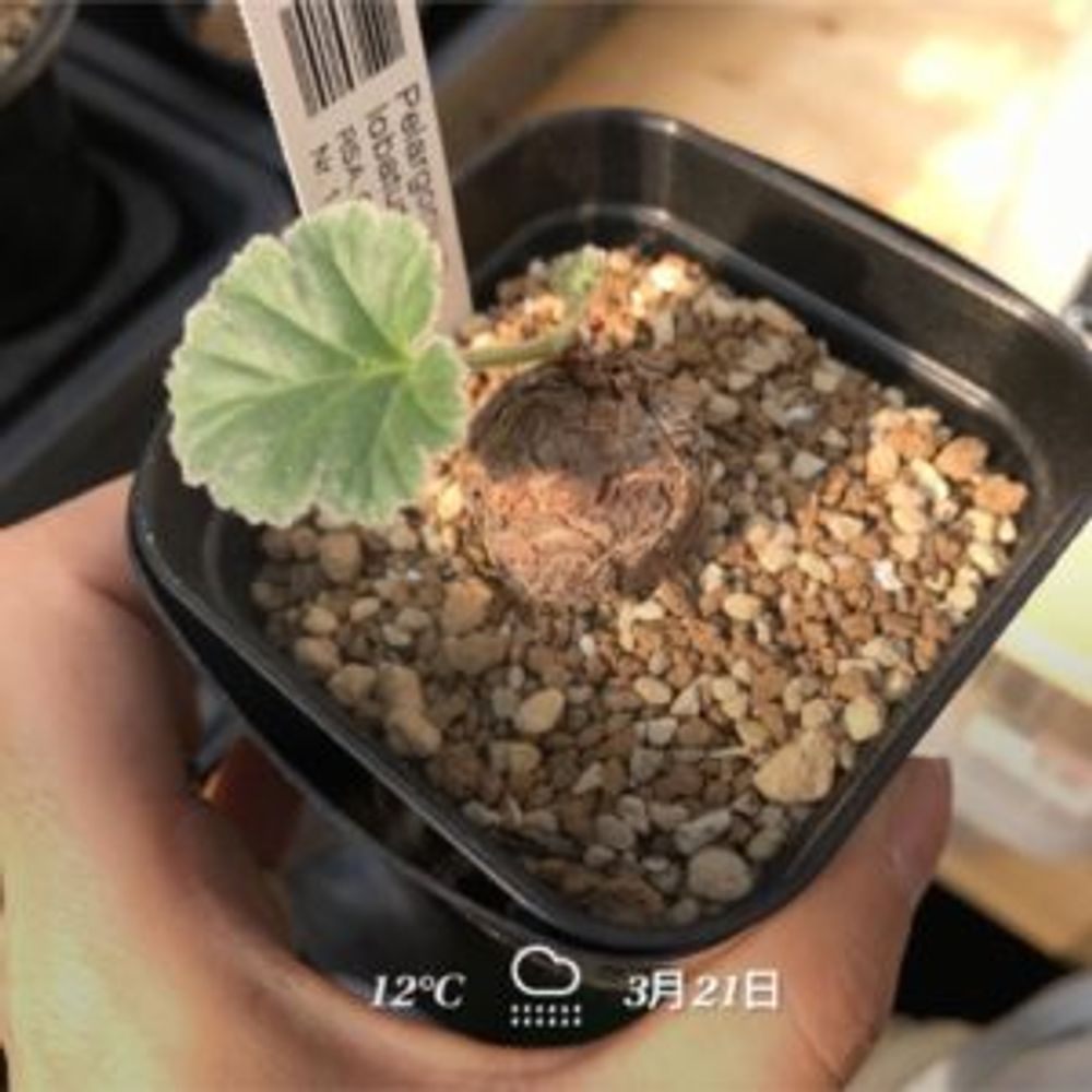 Photo by りとまんさん