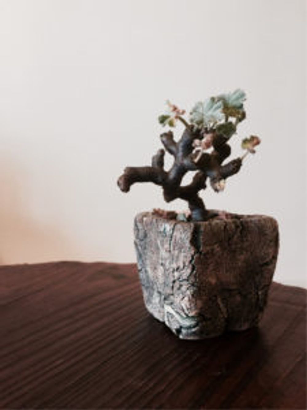 Photo by うさぎさん