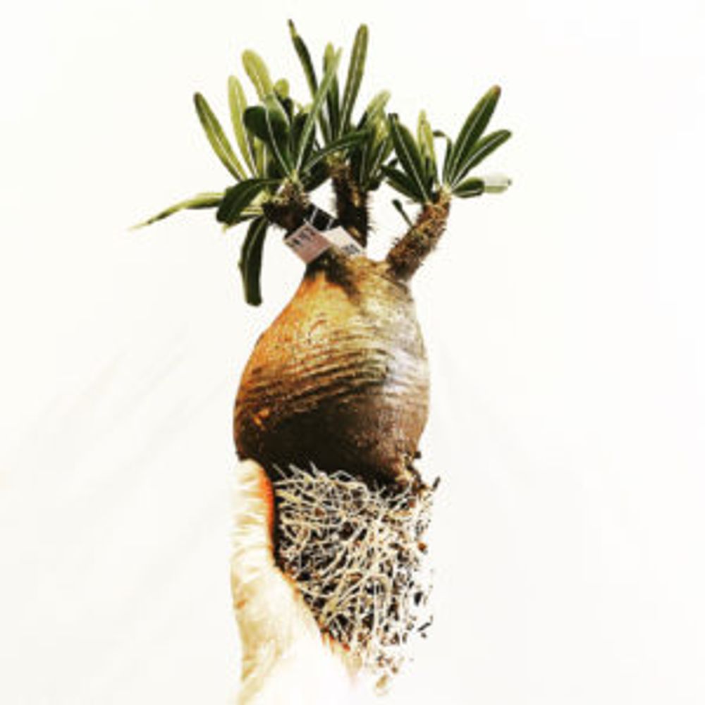 Photo by tsuu★*.さん