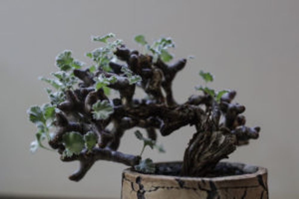 Photo by 山やんさん