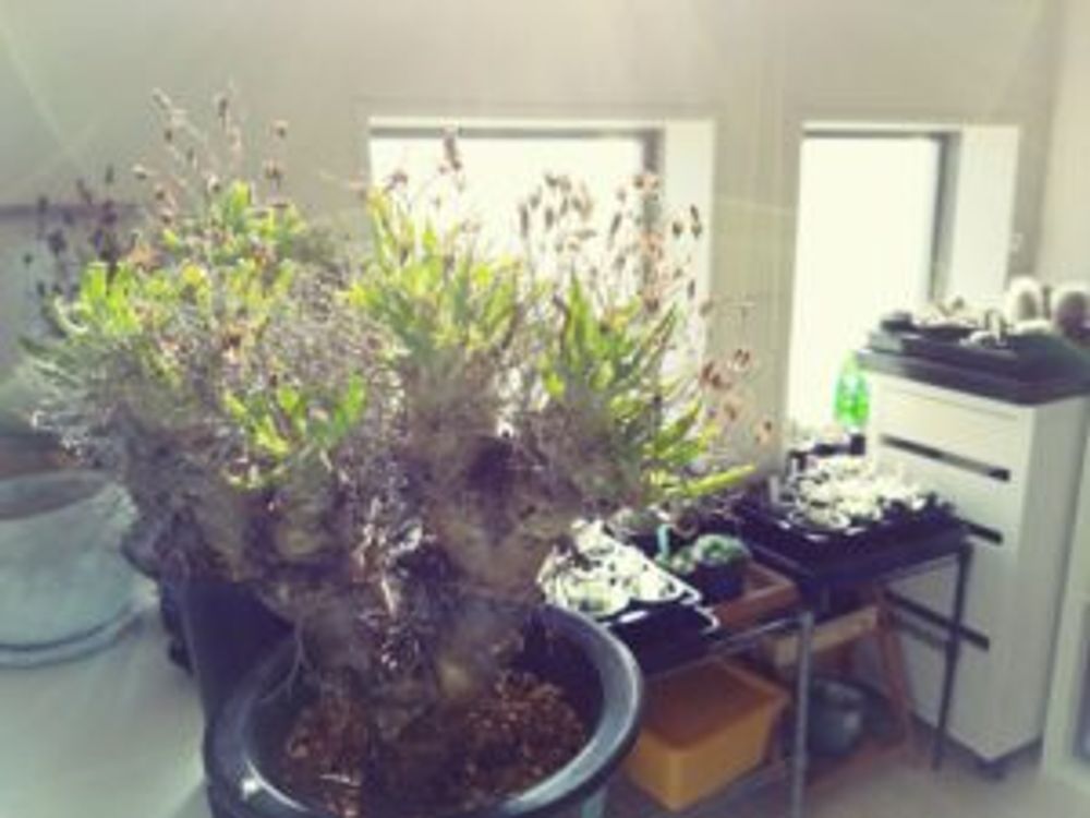 Photo by やっちさん