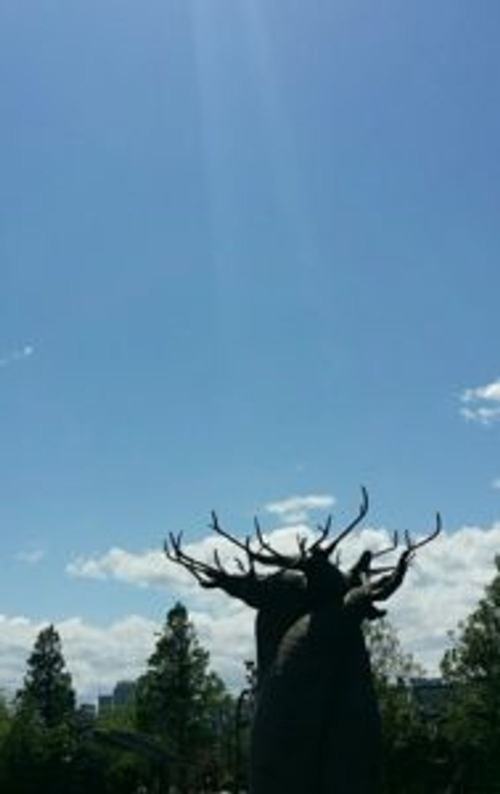 Photo by Sachiさん