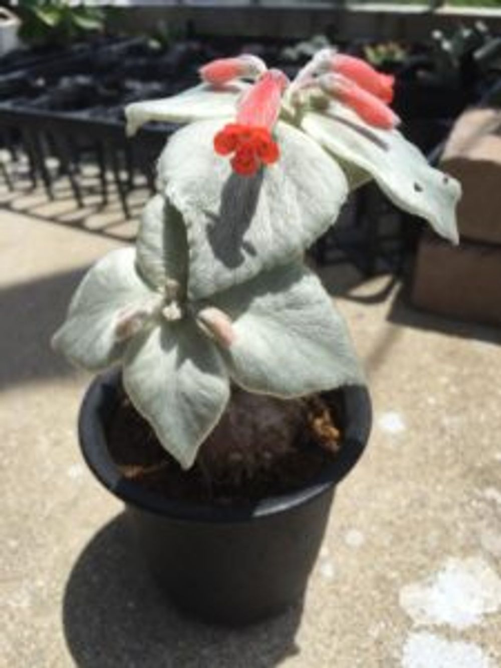 Photo by み〜みさん