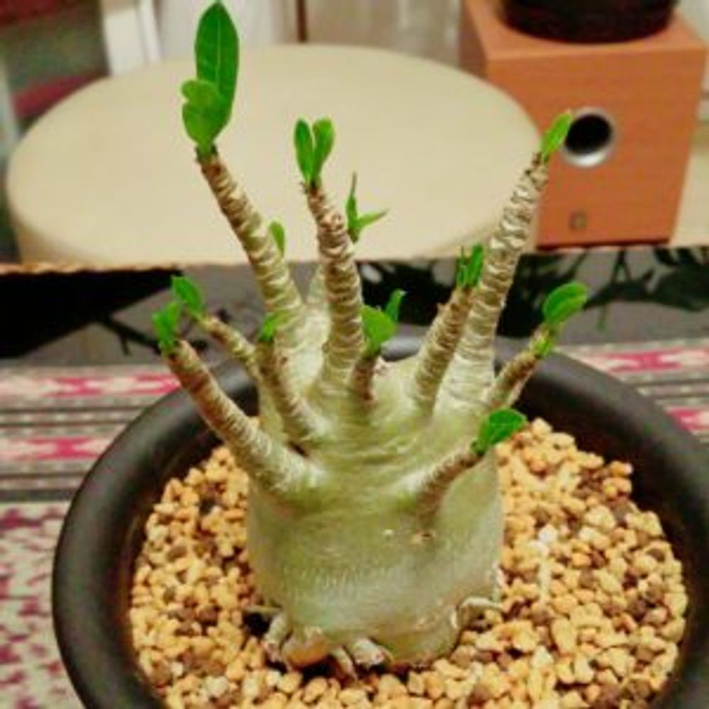 Photo by toshiさん