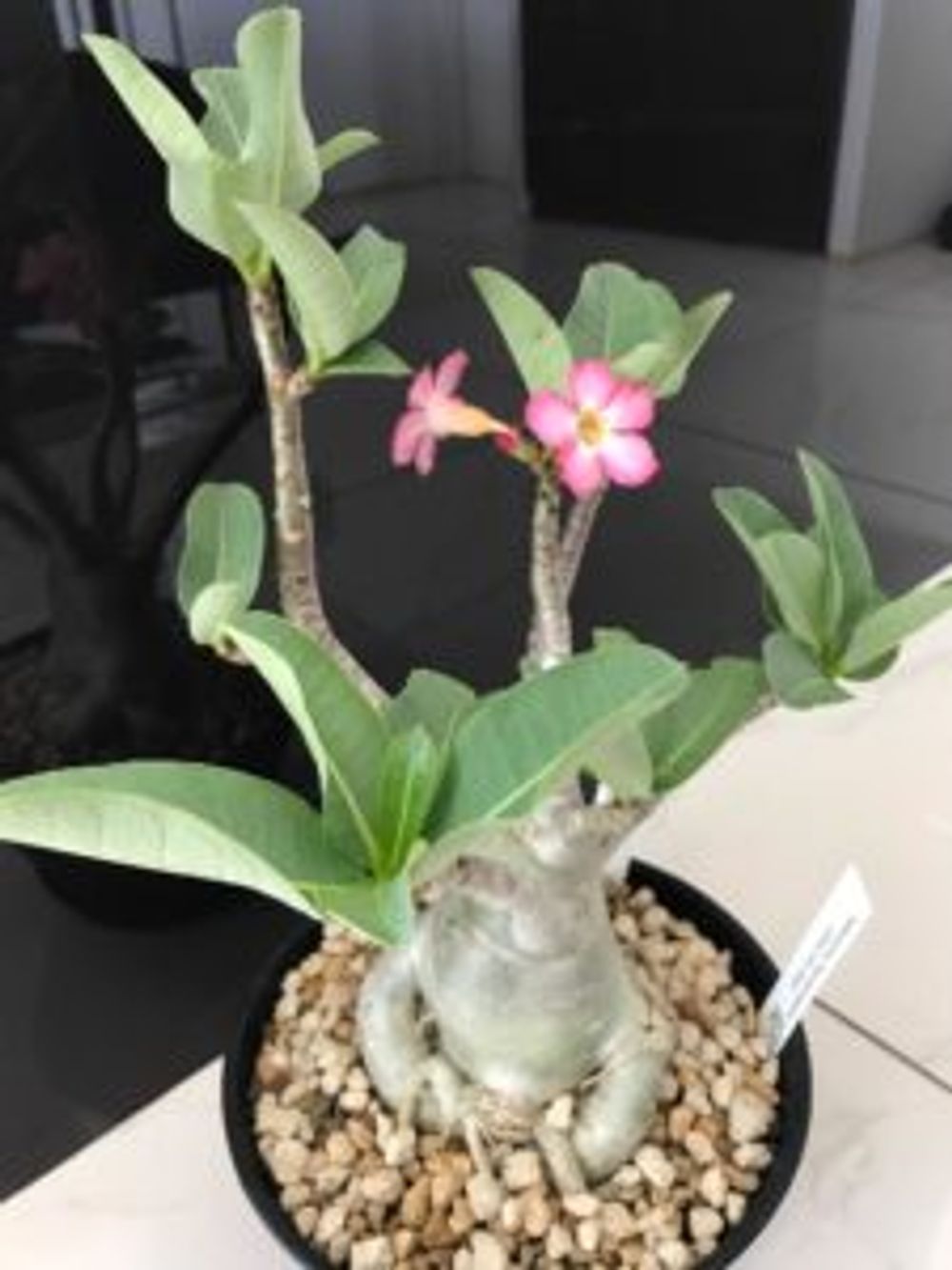 Photo by ゆうさん