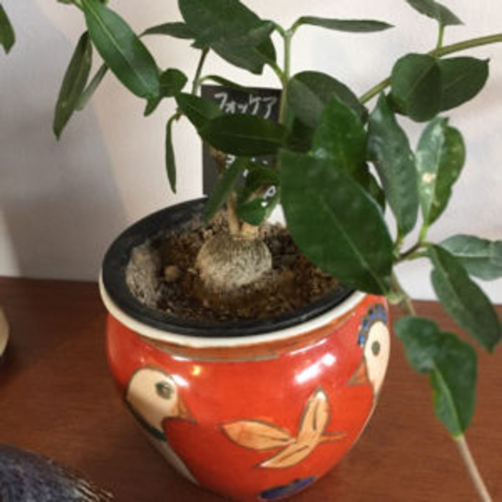 Photo by yukalitaさん