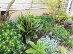 シェードガーデンとは おすすめの日陰でも育つ植物11選とおしゃれな作り方 Greensnap グリーンスナップ