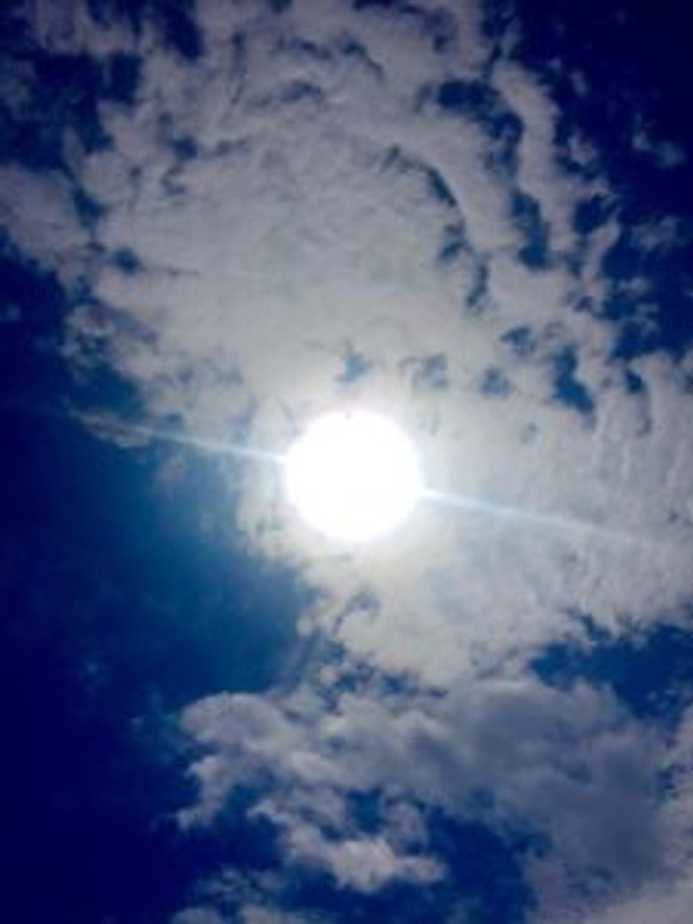 Photo by こけちゃんさん