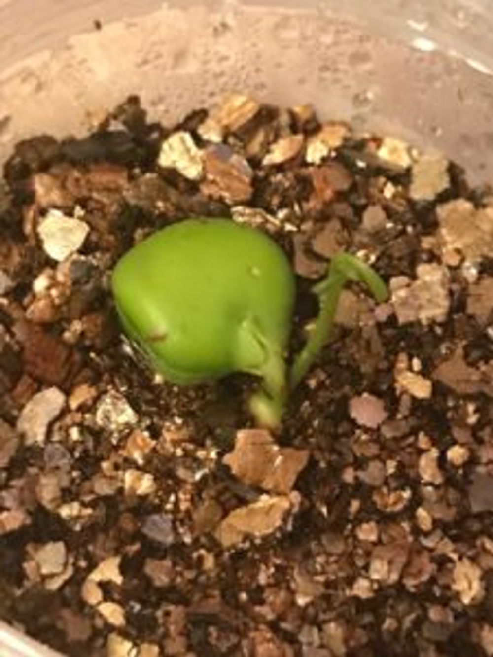 Photo by ●●さん