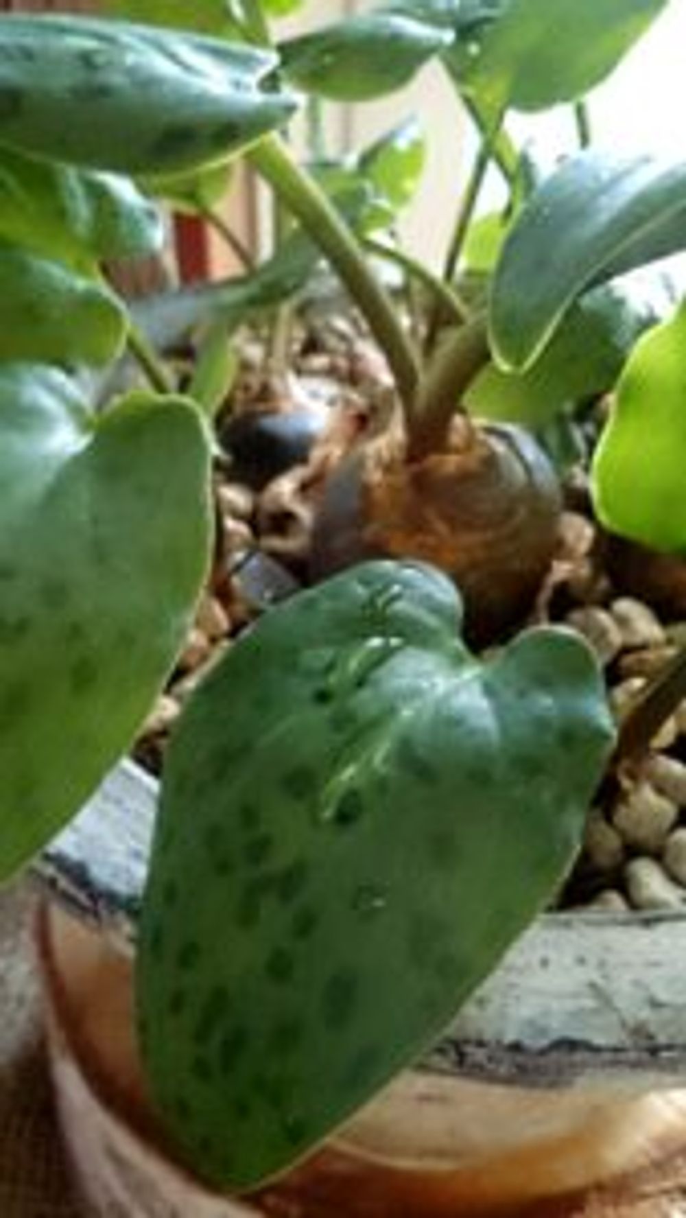 Photo by sepia+さん