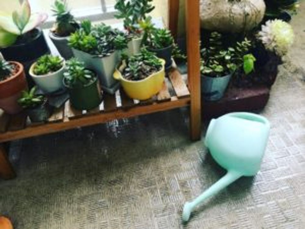 Photo by kaziochanさん