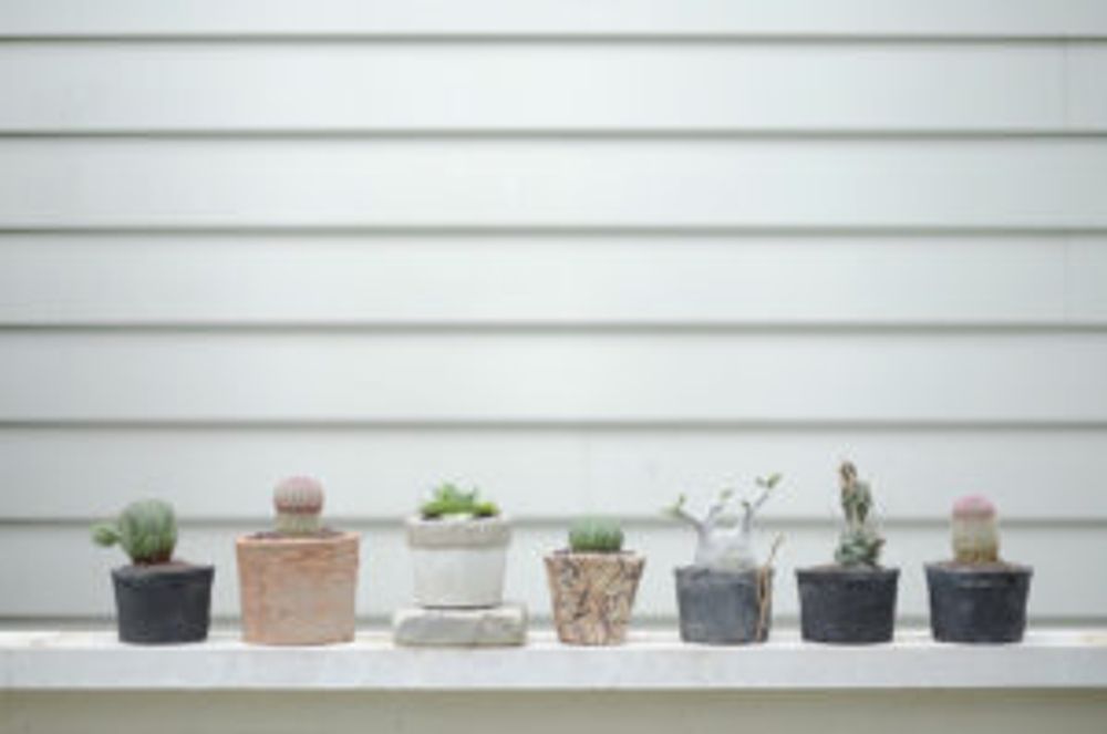 Photo by Blumen Hutteさん