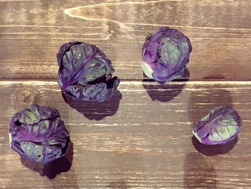 芽キャベツ　収穫