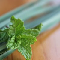 レモングラスの育て方｜鉢植えや地植えの栽培方法は？花は咲くの？の画像