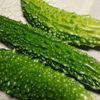 ゴーヤの栄養｜効果・効能や旬の時期、選び方や保存方法は？の画像