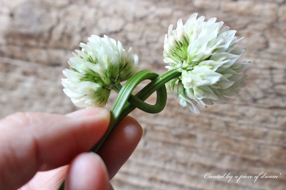 花冠 作り方 シロツメクサ