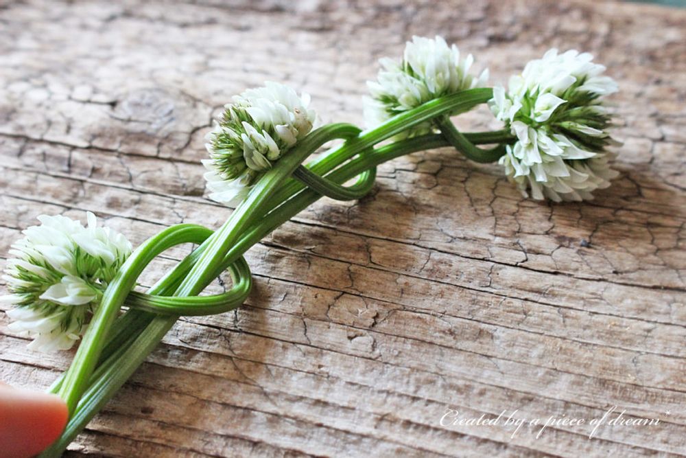花冠 作り方 シロツメクサ