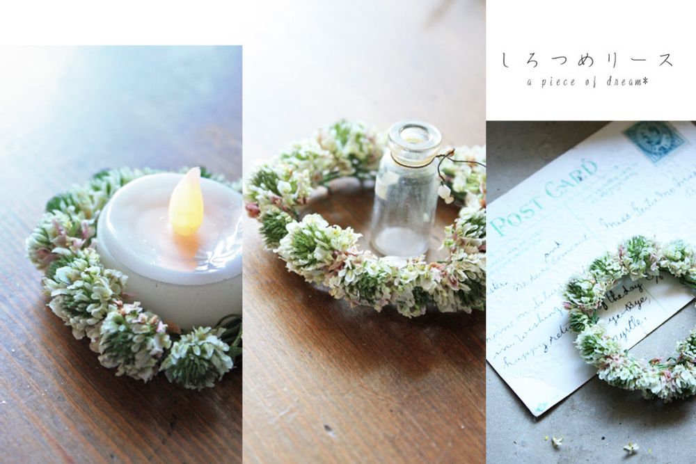 花冠 シロツメクサ キャンドルホルダー