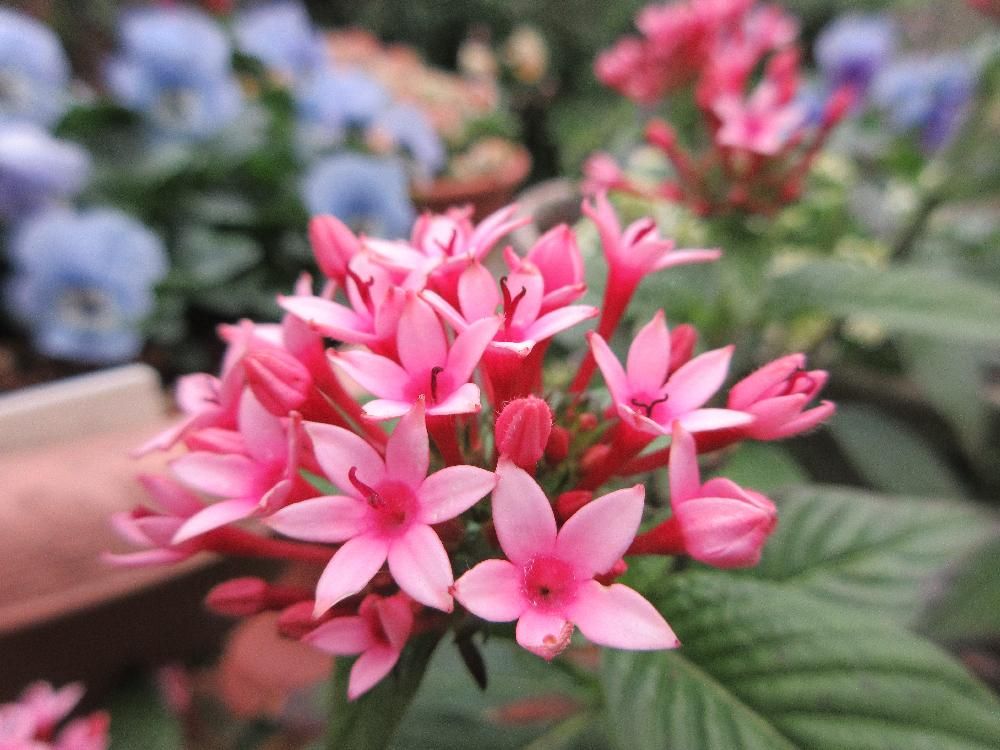 Photo by たまちゃんさん