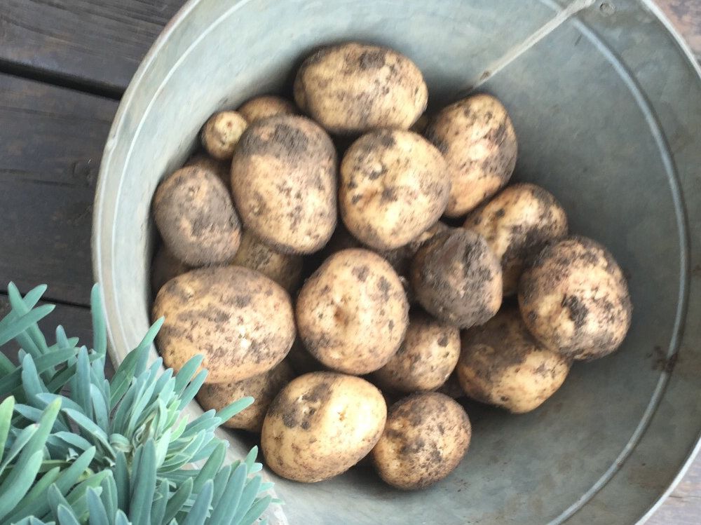 Photo by nao＊さん