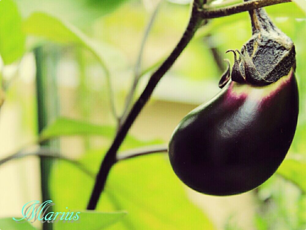 Photo by マリウスさん