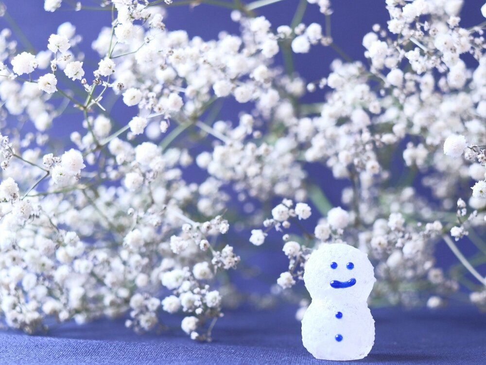 かすみ草(カスミソウ)　白い花