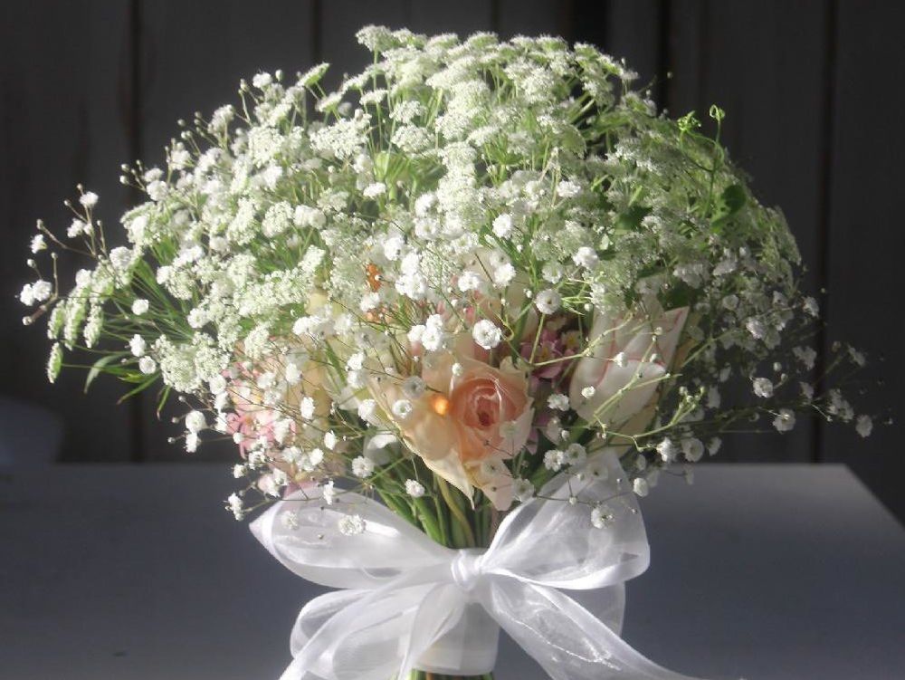 かすみ草(カスミソウ)　白い花