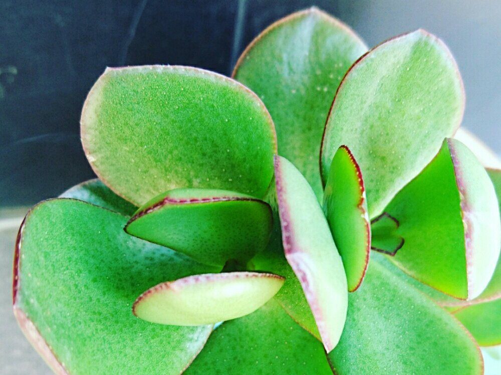 Photo by kawokawoさん