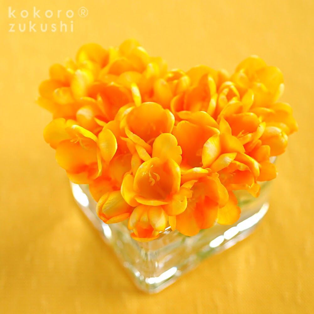 Photo by kokorozukushiさん