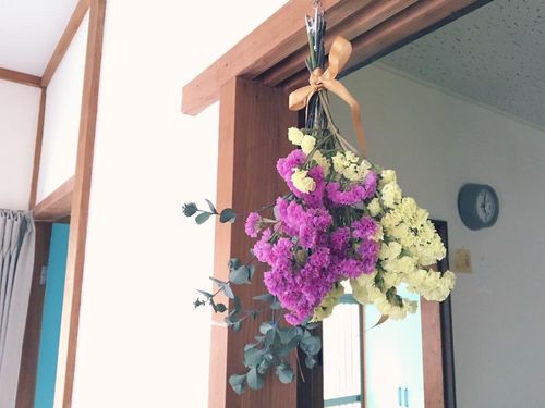 スターチスの育て方 種まきや植え替え 肥料やりの時期は Greensnap グリーンスナップ