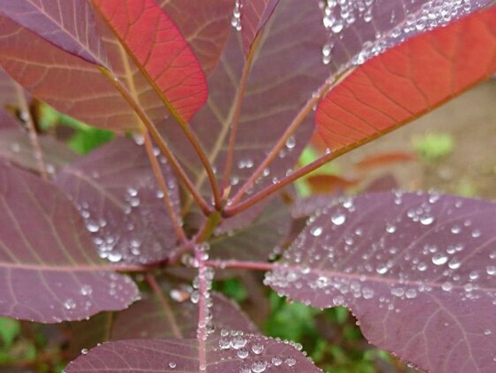 Photo by モコさん