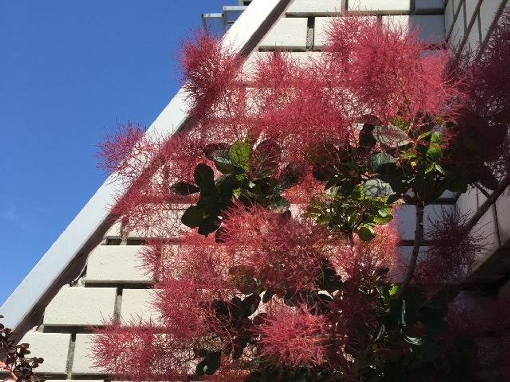 Photo by Bobooooonさん