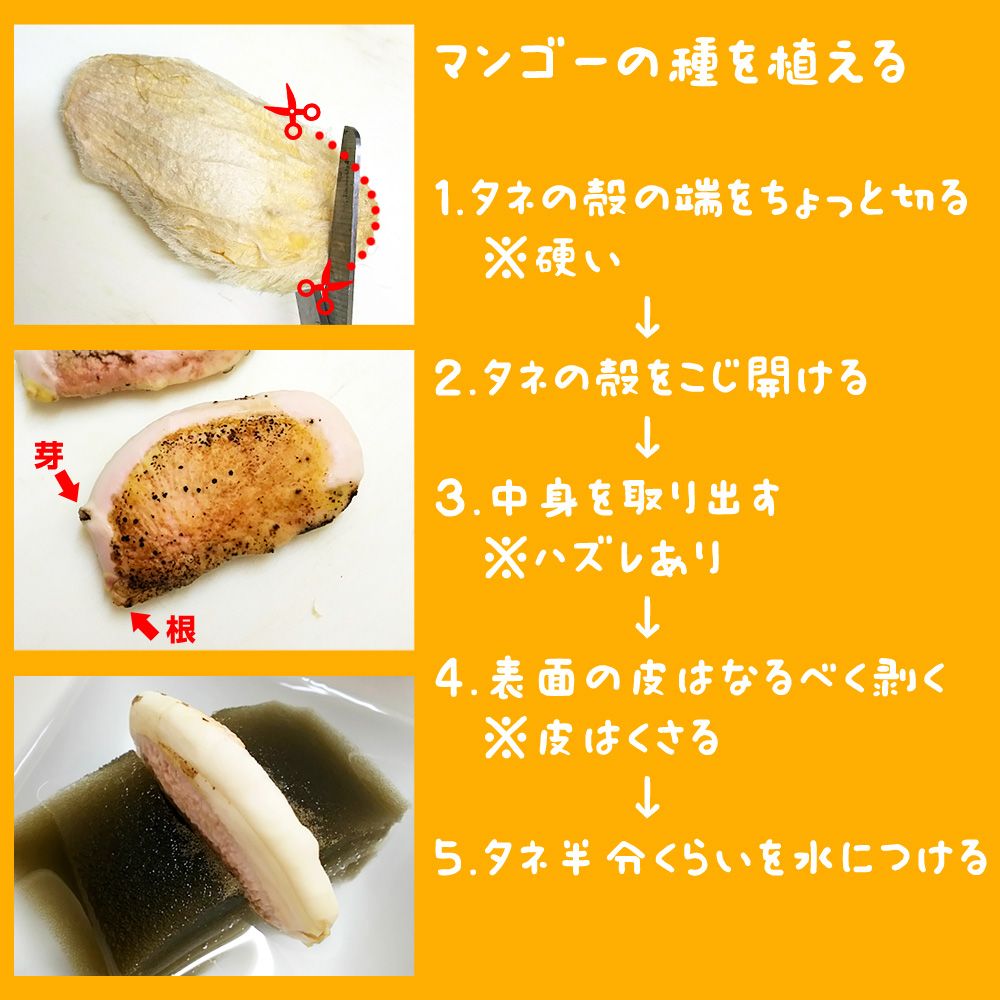 Photo by Tetsuoさん