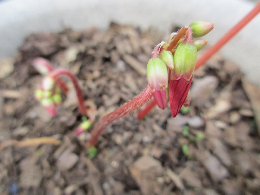 Photo by たまちゃんさん