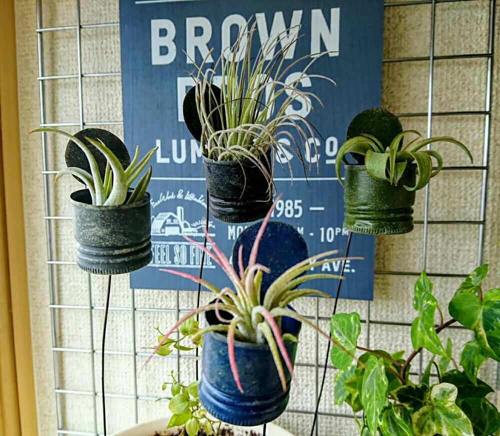 Photo by めぐみさん