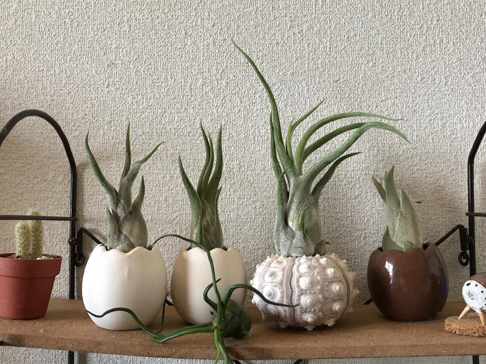 Photo by ao☆(*^_^*)さん