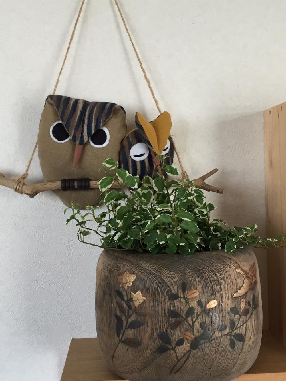 Photo by つっちーさん