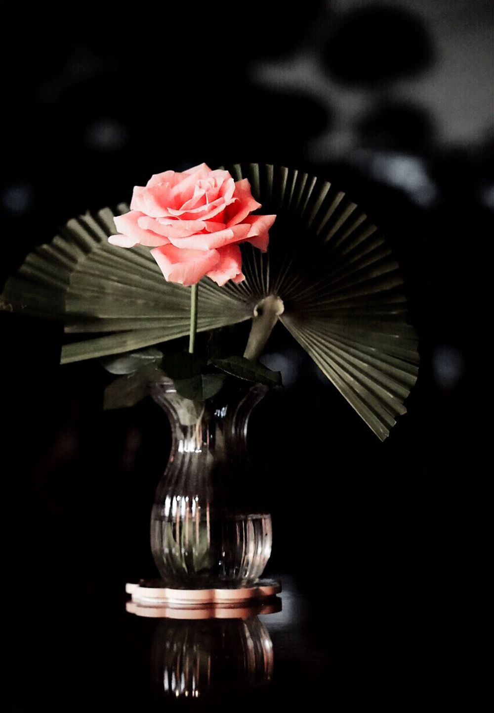 Photo by kaza33さん