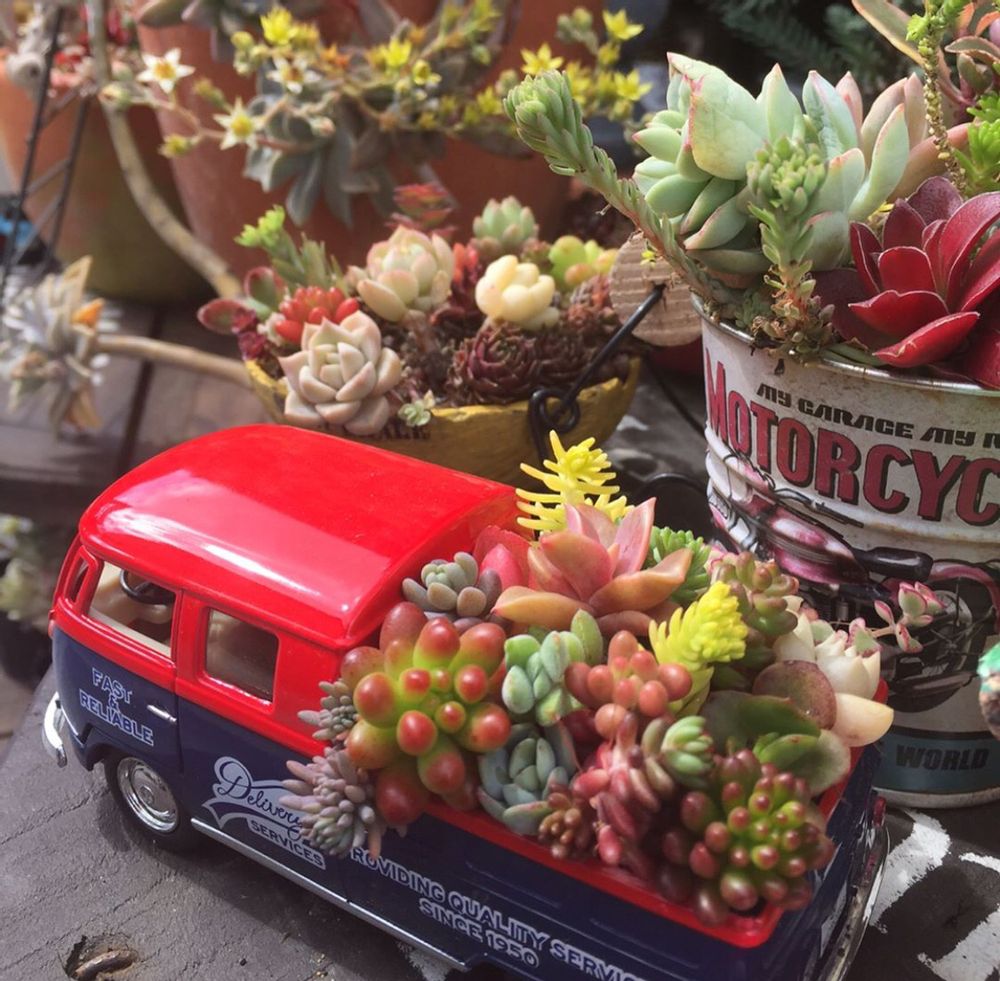 Photo by moongardenさん