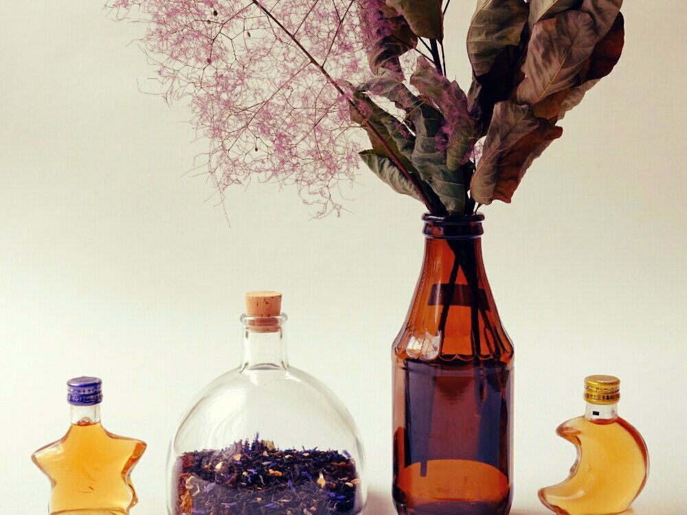 ヤグルマギク(矢車菊)　瓶