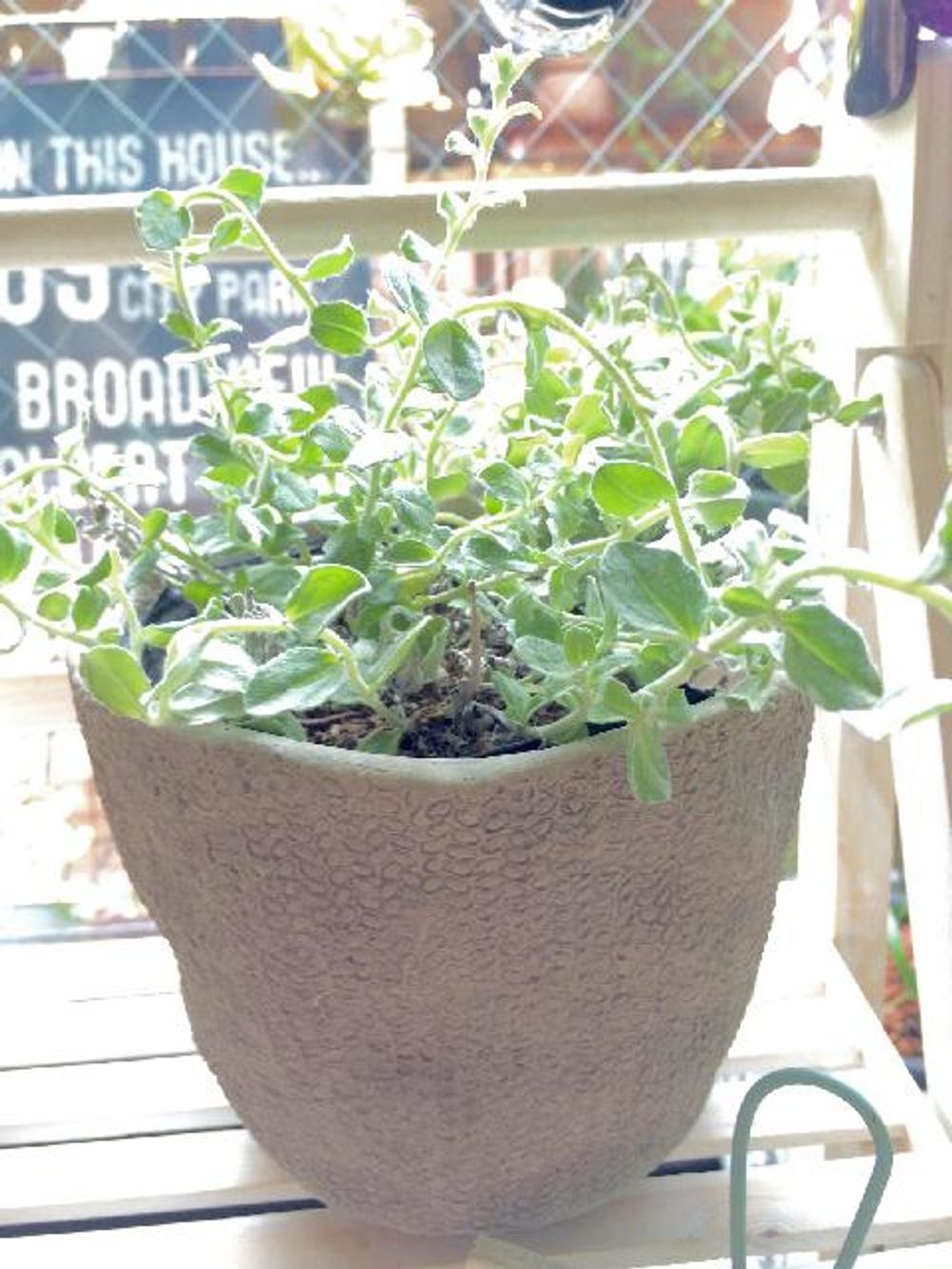 Photo by Tanuhakuさん