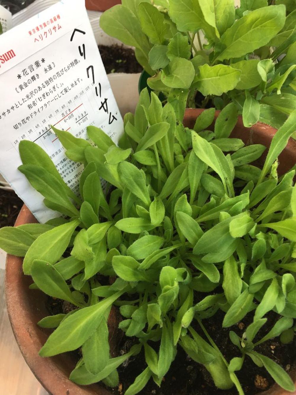 Photo by サリーさん