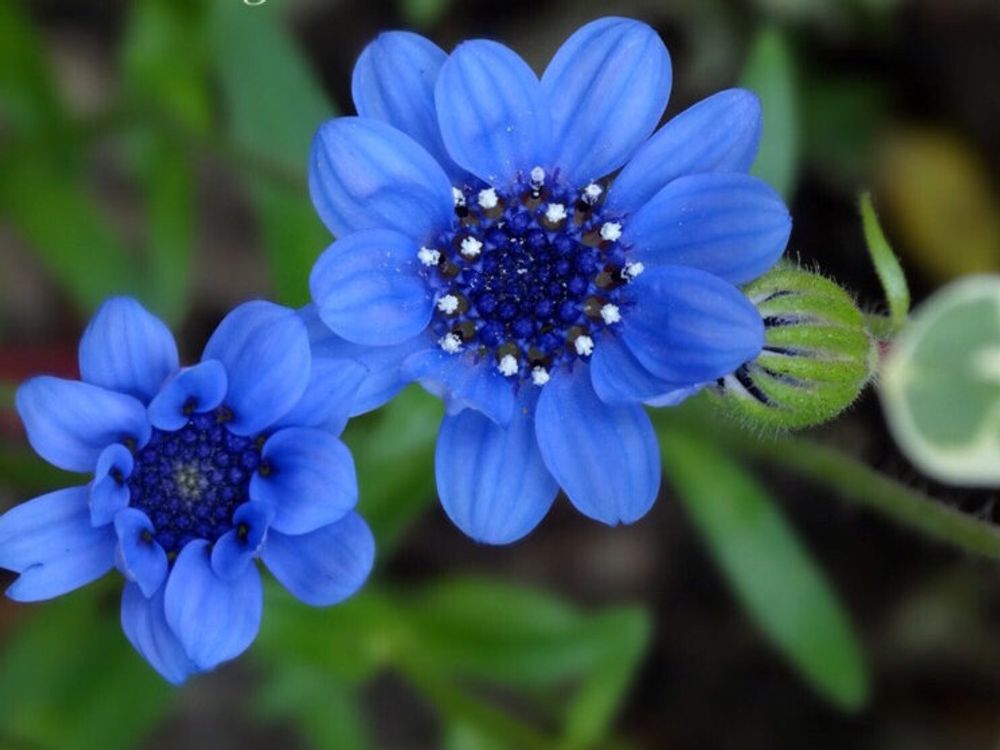 Photo by ⁂akiko⁂さん