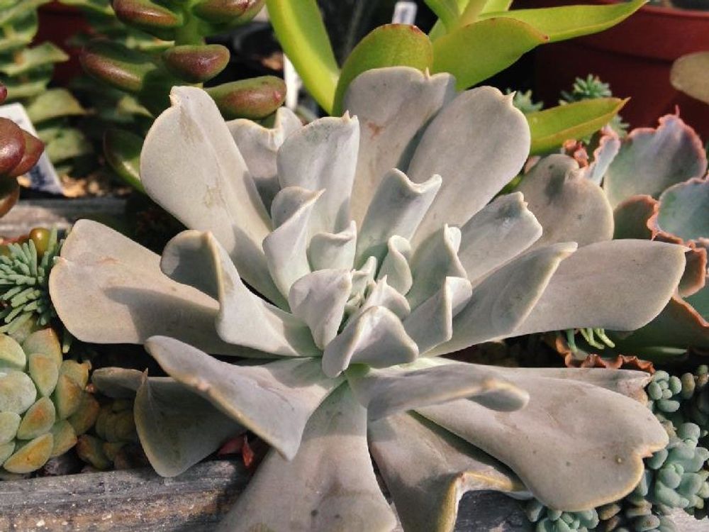 Photo by はらおさん