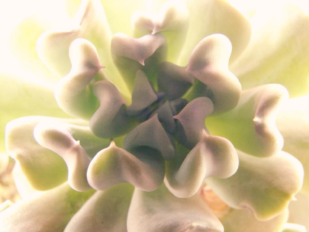 Photo by Ohba Chiseさん