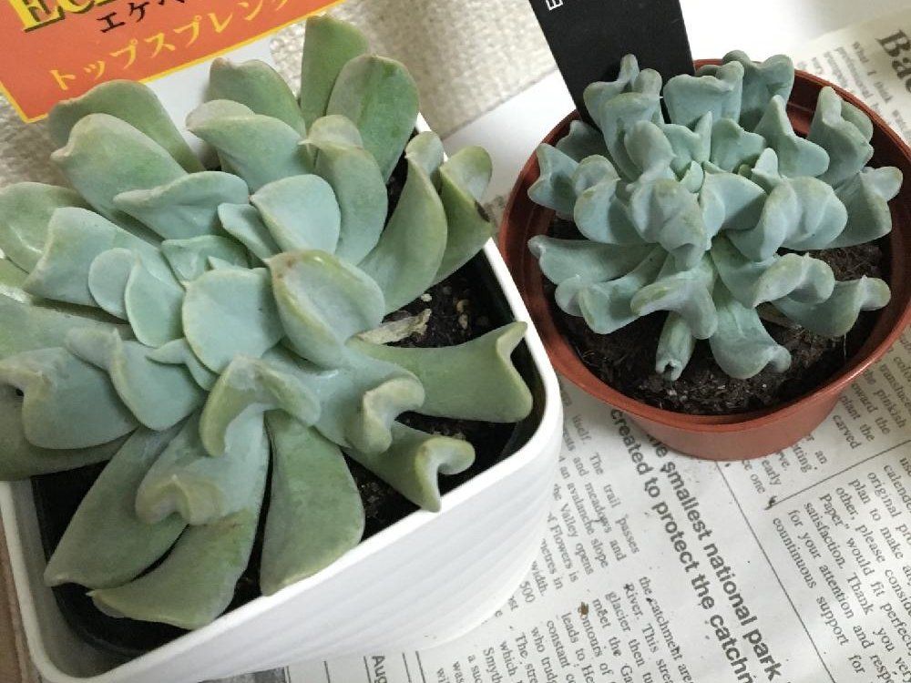 Photo by rk5kuuさん