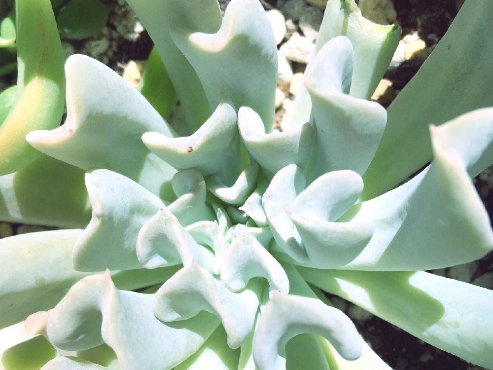 Photo by ☆*:.｡. airin .｡.:*☆さん